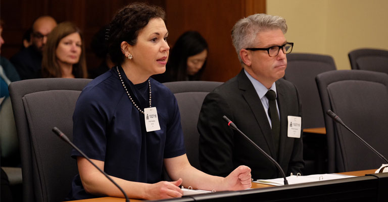 College Addresses Standing Committee on Bill 37